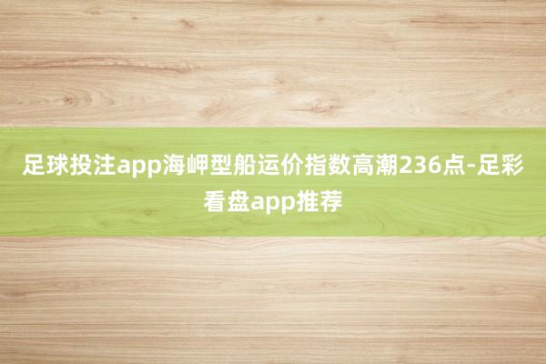 足球投注app　　海岬型船运价指数高潮236点-足彩看盘app推荐