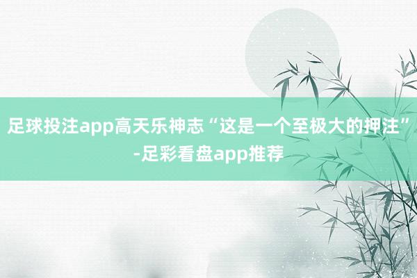 足球投注app高天乐神志“这是一个至极大的押注”-足彩看盘app推荐