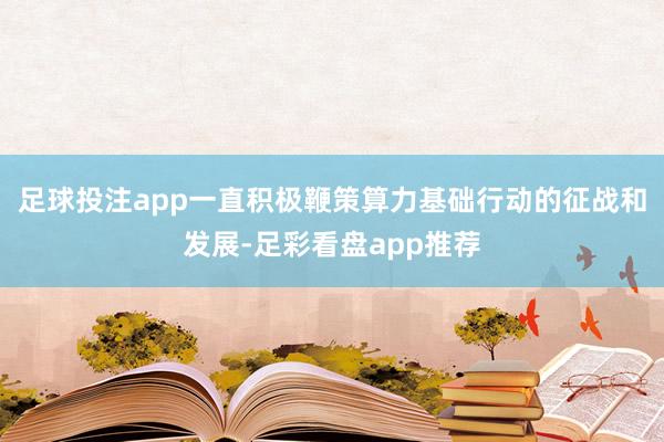 足球投注app一直积极鞭策算力基础行动的征战和发展-足彩看盘app推荐