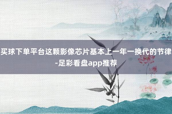 买球下单平台这颗影像芯片基本上一年一换代的节律-足彩看盘app推荐