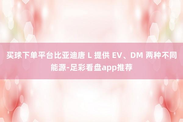 买球下单平台比亚迪唐 L 提供 EV、DM 两种不同能源-足彩看盘app推荐